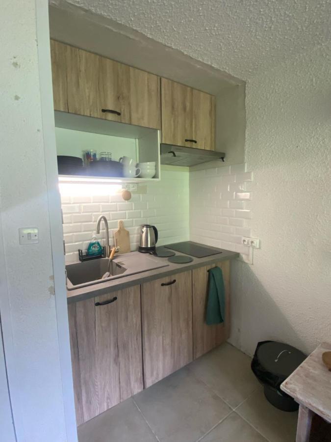 Appt Chaleureux 2 - 4 Personnes Au Pied Des Pistes - Draps Et Linges De Toilette Non Fournis - Menage Non Inclus Apartment La Mongie Luaran gambar